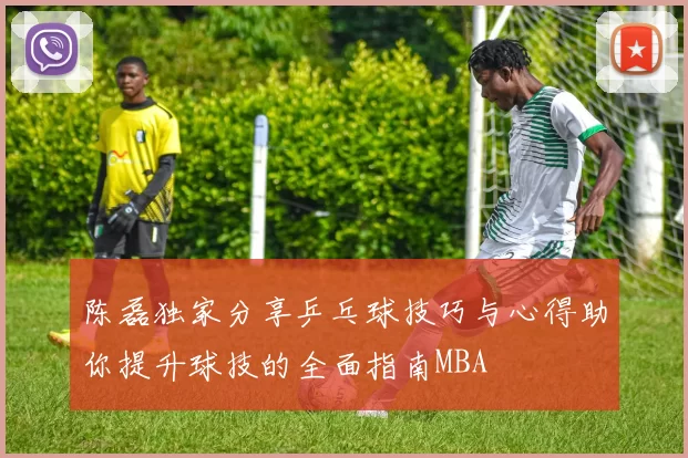 陈磊独家分享乒乓球技巧与心得助你提升球技的全面指南MBA