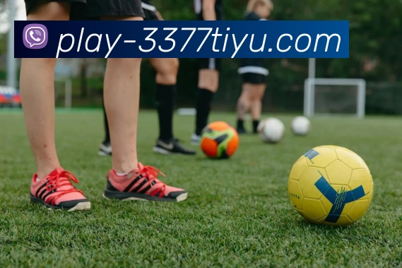 3377体育平台入口平台生态图